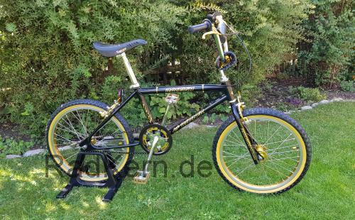 Raleigh Ultra Burner  technische daten 